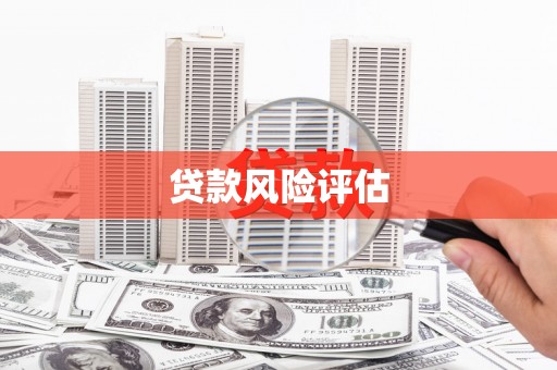 柳南贷款风险评估