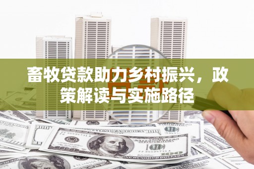 柳南畜牧贷款助力乡村振兴，政策解读与实施路径