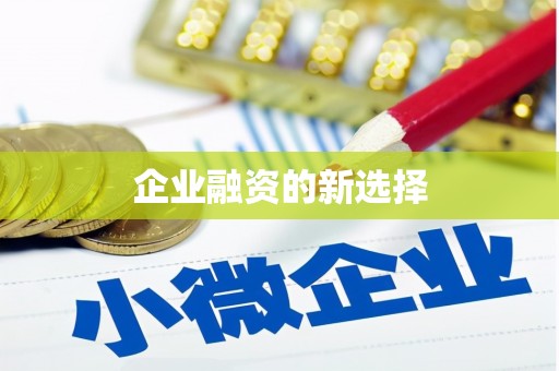 柳南企业融资的新选择