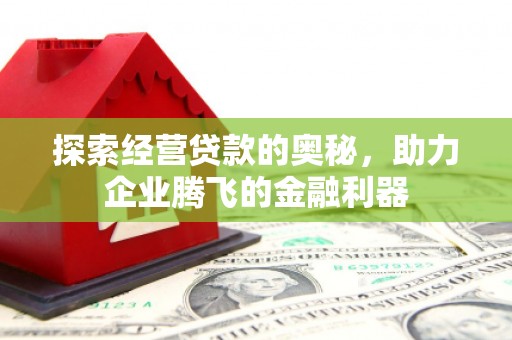 柳南探索经营贷款的奥秘，助力企业腾飞的金融利器