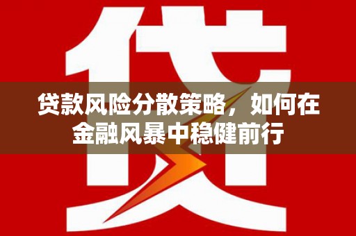 柳南贷款风险分散策略，如何在金融风暴中稳健前行