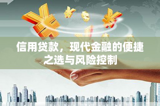 柳南信用贷款，现代金融的便捷之选与风险控制