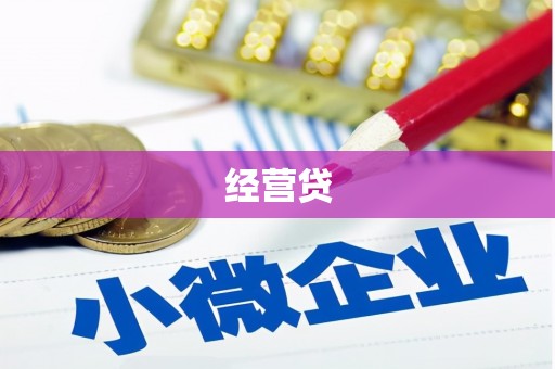 柳南经营贷