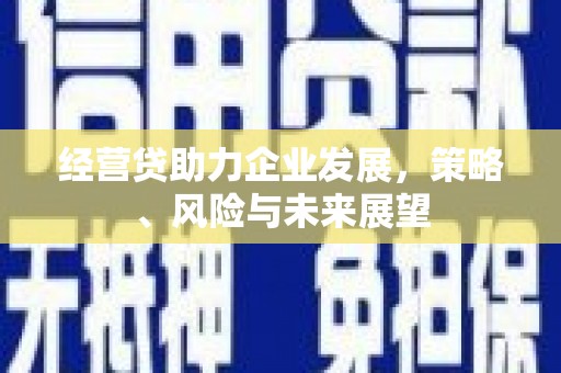 柳南经营贷助力企业发展，策略、风险与未来展望