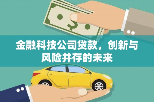 柳南金融科技公司贷款，创新与风险并存的未来