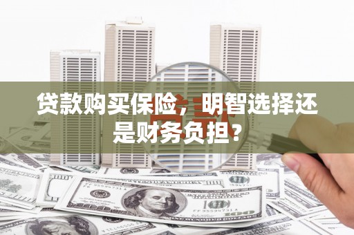 柳南贷款购买保险，明智选择还是财务负担？