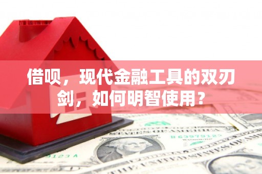 柳南借呗，现代金融工具的双刃剑，如何明智使用？