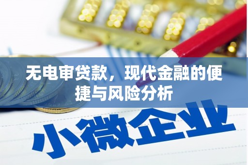 柳南无电审贷款，现代金融的便捷与风险分析