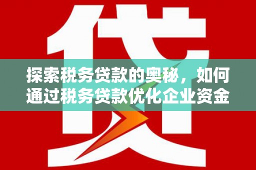 柳南探索税务贷款的奥秘，如何通过税务贷款优化企业资金流