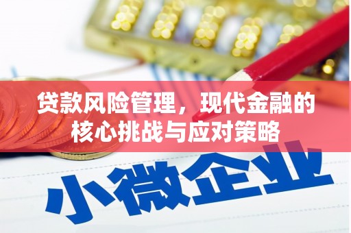 柳南贷款风险管理，现代金融的核心挑战与应对策略