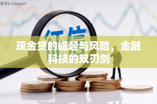 柳南现金贷的崛起与风险，金融科技的双刃剑