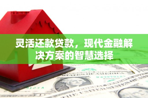 柳南灵活还款贷款，现代金融解决方案的智慧选择