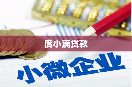 柳南度小满贷款