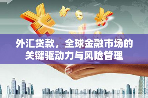 柳南外汇贷款，全球金融市场的关键驱动力与风险管理