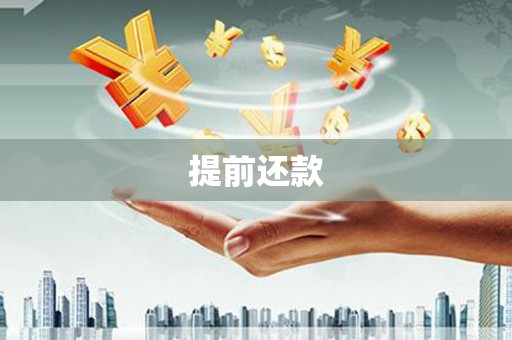 柳南提前还款