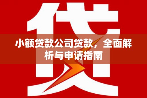 柳南小额贷款公司贷款，全面解析与申请指南