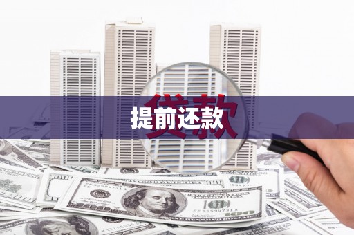 柳南提前还款