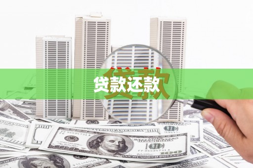 柳南贷款还款