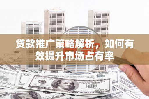 柳南贷款推广策略解析，如何有效提升市场占有率