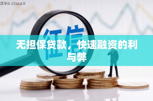 柳南无担保贷款，快速融资的利与弊