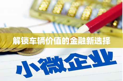 柳南解锁车辆价值的金融新选择