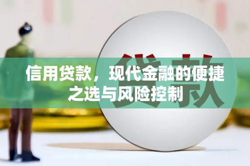 柳南信用贷款，现代金融的便捷之选与风险控制