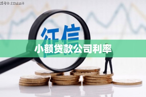 柳南小额贷款公司利率