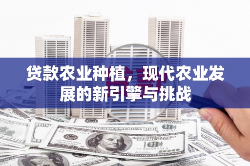 柳南贷款农业种植，现代农业发展的新引擎与挑战