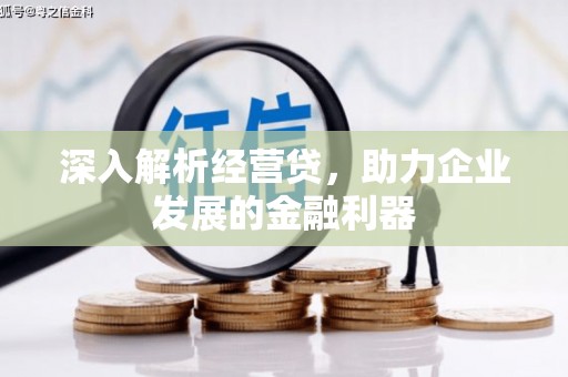 柳南深入解析经营贷，助力企业发展的金融利器