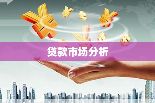 柳南贷款市场分析