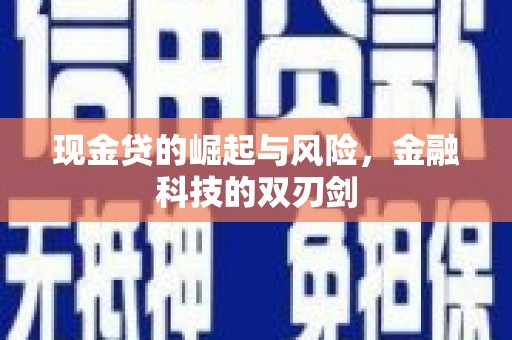 柳南现金贷的崛起与风险，金融科技的双刃剑