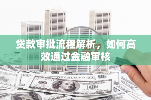柳南贷款审批流程解析，如何高效通过金融审核