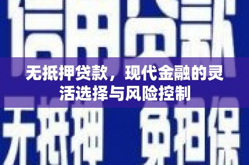柳南无抵押贷款，现代金融的灵活选择与风险控制
