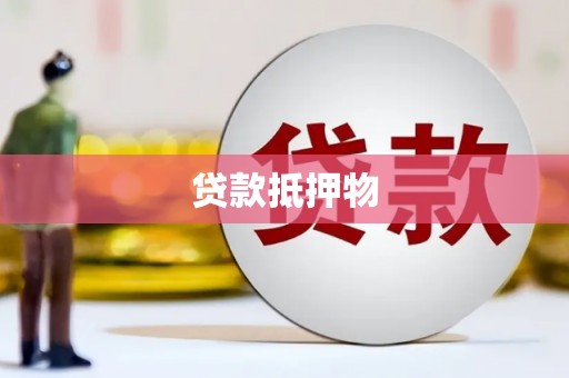 柳南贷款抵押物