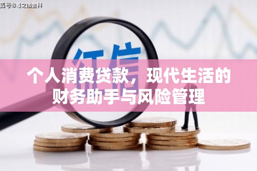 柳南个人消费贷款，现代生活的财务助手与风险管理