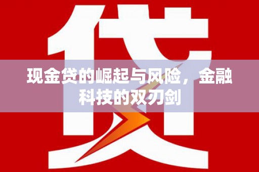 柳南现金贷的崛起与风险，金融科技的双刃剑