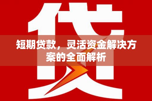 柳南短期贷款，灵活资金解决方案的全面解析