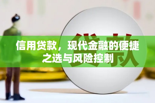 柳南信用贷款，现代金融的便捷之选与风险控制