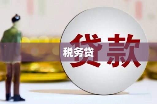 柳南税务贷