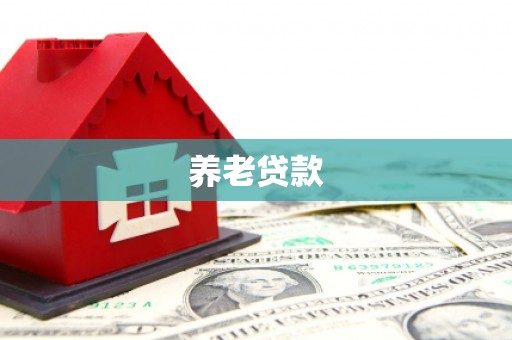 柳南养老贷款