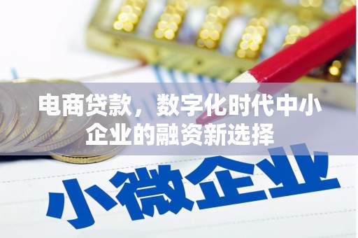 柳南电商贷款，数字化时代中小企业的融资新选择