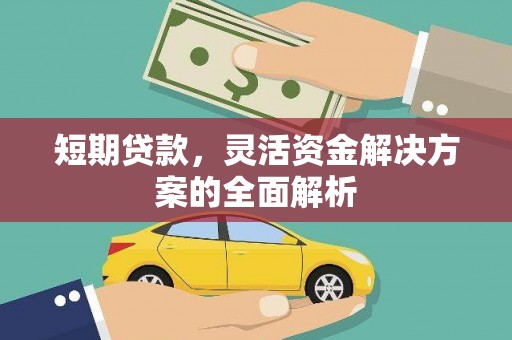 柳南短期贷款，灵活资金解决方案的全面解析