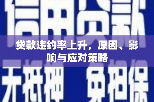 柳南贷款违约率上升，原因、影响与应对策略