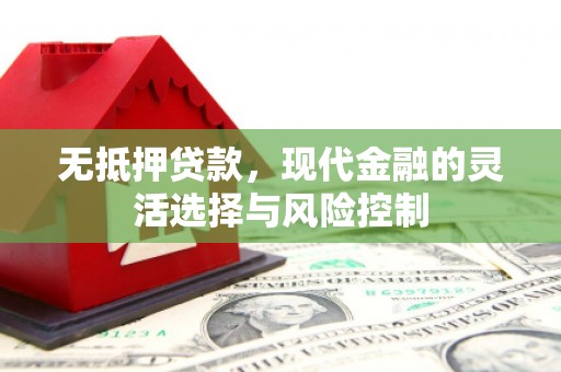 柳南无抵押贷款，现代金融的灵活选择与风险控制