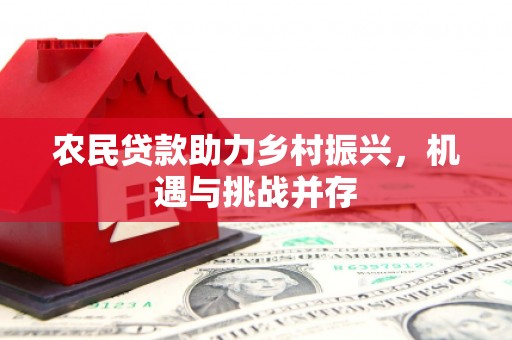 柳南农民贷款助力乡村振兴，机遇与挑战并存