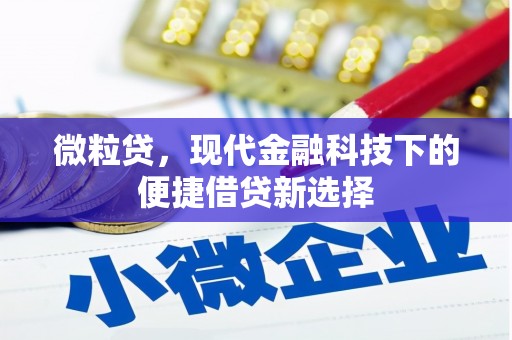 柳南微粒贷，现代金融科技下的便捷借贷新选择