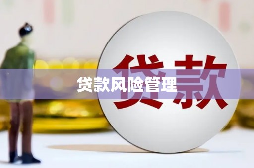 柳南贷款风险管理