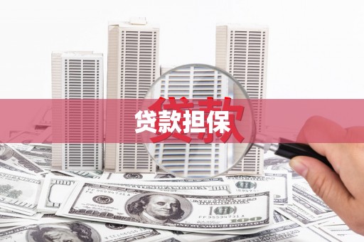 柳南贷款担保