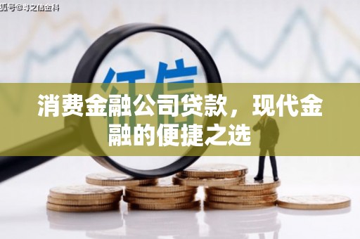 柳南消费金融公司贷款，现代金融的便捷之选
