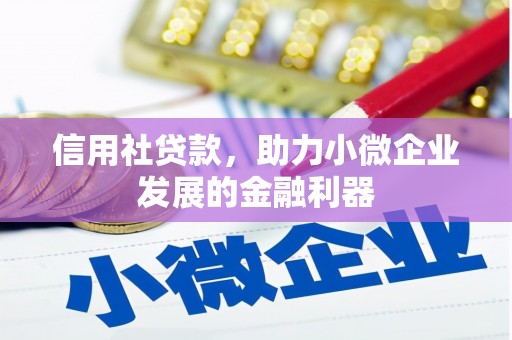 柳南信用社贷款，助力小微企业发展的金融利器